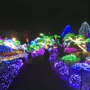 1월 이벤트 겨울여행 - 가평 자라섬 씽씽축제, 쁘띠프랑스, 오색별빛 정원전 이미지