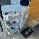 퍼피앤독 이미지