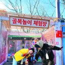 물고기골목 이미지