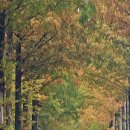 구암마을회관 이미지