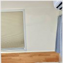 딩동댕애견스파풀빌라 이미지