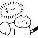 수원-0813 이미지