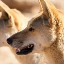 관악중앙도서관 U-도서관 이미지