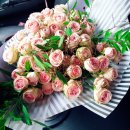 화사랑화원 이미지