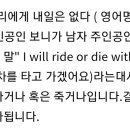 ride or die 뜻이래 이미지