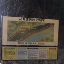 공주 금계캠핑장 캠핑후기