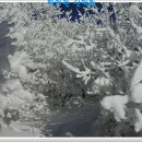 그랜드장여관 이미지