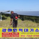 삼호태양광발전소 이미지