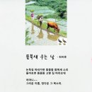 동시조 [ 뜸북새 우는 날 ] - 2023년 『현대시조』 봄호(152호) ‘최숙영 동시조 특집’ p.25 이미지