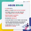수지침(야간) 이미지