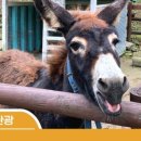 재정농장 이미지