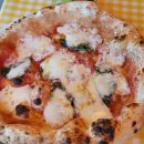 파스타한장 이미지