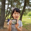 숲이랑아이랑유치원 이미지