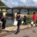 장성중앙초등학교 이미지