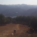 상전벽해.. 이미지