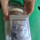 하루마카롱 | 라이즈 콜라보 딸바초 마카롱 솔직후기(라이즈 띠부씰)