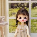 리틀버디 이미지