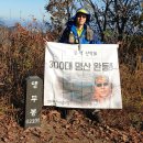 한국의 산하 300대 명산 완등 산행기 이미지