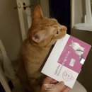 못골역 봄봄 동물약국 이미지