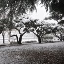 뚝섬한강공원-11 이미지