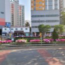 냐만 아는데 이미지