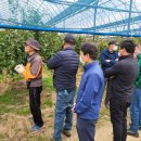 추대농장 이미지