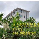 자올하우스