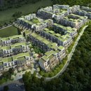 스테이 란 이미지