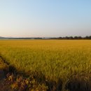 합강농장 이미지