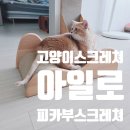 아일로 - 남원시 남문로 439-1 | 고양이스크래처 숲소리 아일로 피카부 사용후기, 조립 쉬운 우드톤 고양이장난감