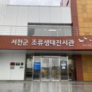 조류생태전시관 | 서천 조류생태전시관 여행 다녀왔어요!