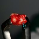 정석치과기공소 이미지