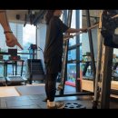 펠리스짐(능동점) 이미지