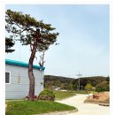 (주)서산생강한과 영이식품