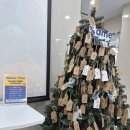 남부여 보호소 동물병원 | 화성 반려마루 유기묘 보호소 봉사후기,예쁜 고양이들 구경하고 가세요