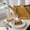 소미몬트 이미지