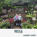 미술관 자작나무숲 | 광주]화담숲 후기/성수기잔여표예약/코스추천/자작나무숲/소나무정원/분재원/색채원/자연생태관/아기랑...