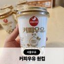 다모아슈퍼 | 다모아웰빙 커피우유맛 원컵 추억의 자판기 우유 후기