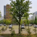 늘솔길근린공원 이미지