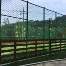 삼도공인중개사사무소 이미지