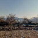 동암 농로 이미지