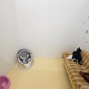 꾸꾸미미 이미지