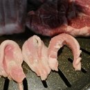 거북이동네 부산명지점 이미지