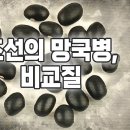 지식의 칼TV '내가 잘살면 뭐해 쟤가 더 잘사는데:조선의 망국병' 이미지