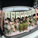 모코코플레르 이미지