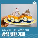 요거영 이미지
