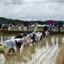 운양초등학교 이미지