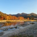 스테이나루펜션 이미지