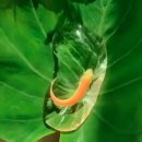 장대장 박대박 부동산중개 | 비수성구 대장-두류역 자이 유튜브 참고하세요~554-3456 우리 박 소장입니다