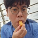콩의 영양을 담은 식사대용 소이조이 8종 16개입 버라이어티 팩